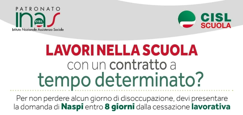 Naspi precari
